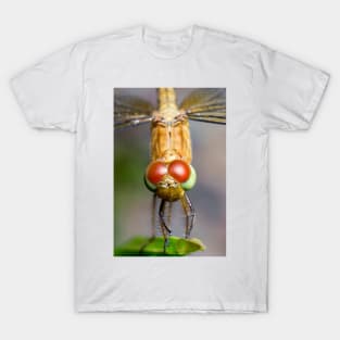 Unique and organic photo of a Dragonfly T-Shirt